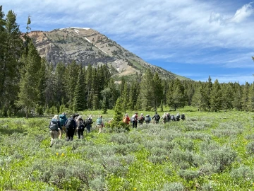 Undergraduate Degree Programs